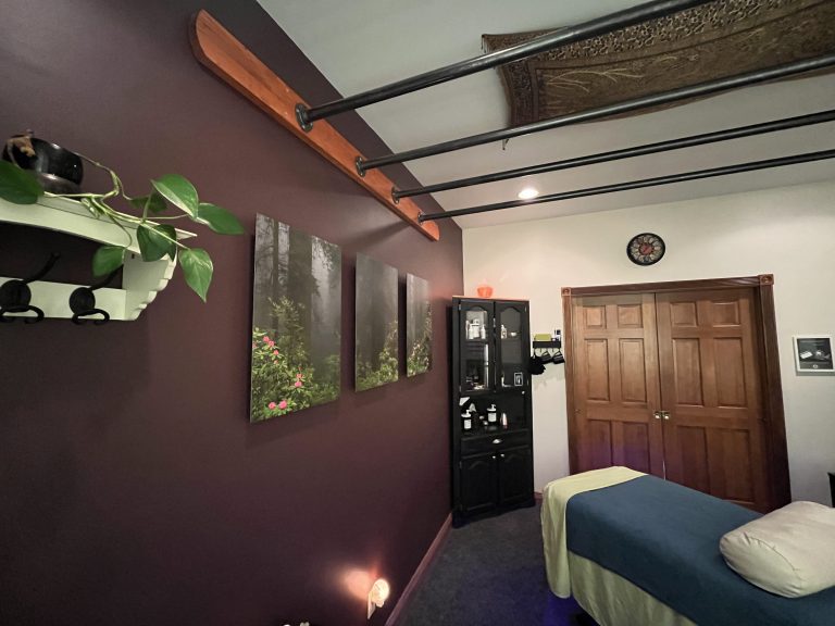 ViaSana Studio View